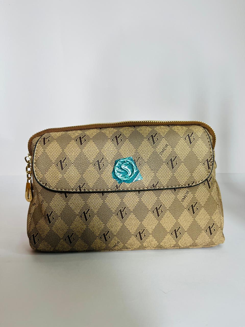 New Design Coach Bag